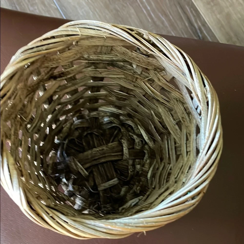 Woven Basket with Sand dollar accent